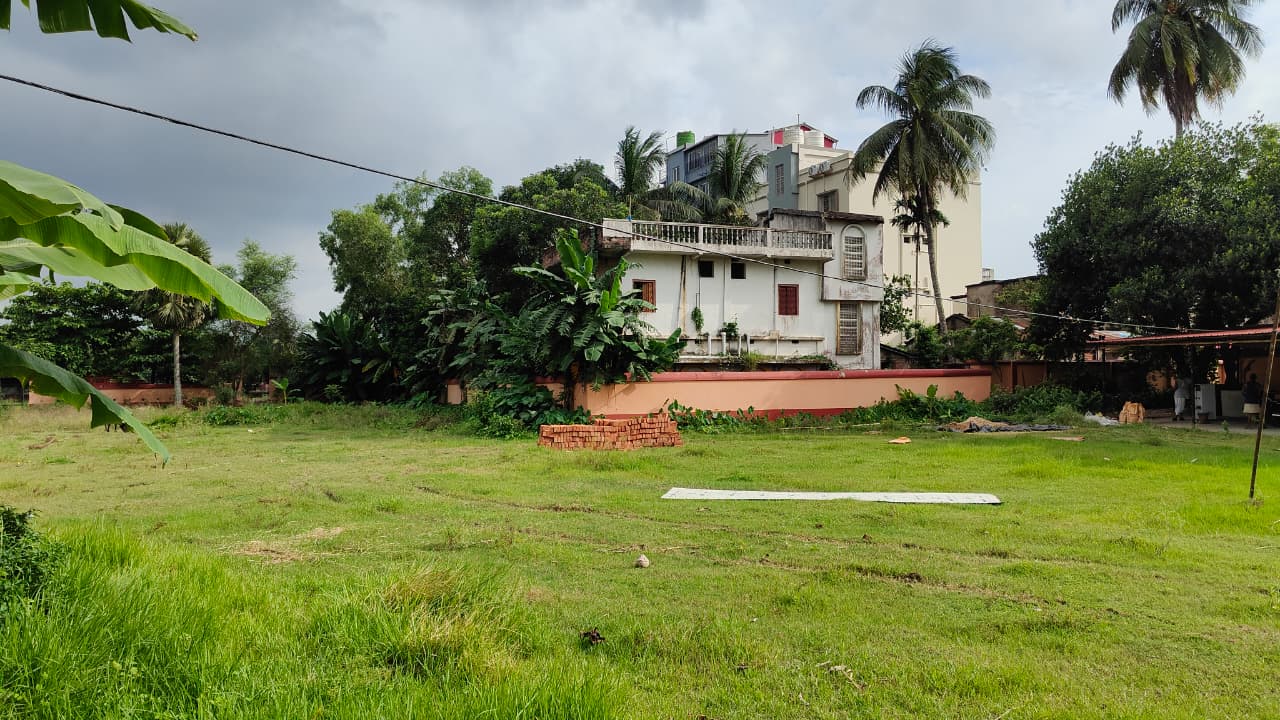 View of the site